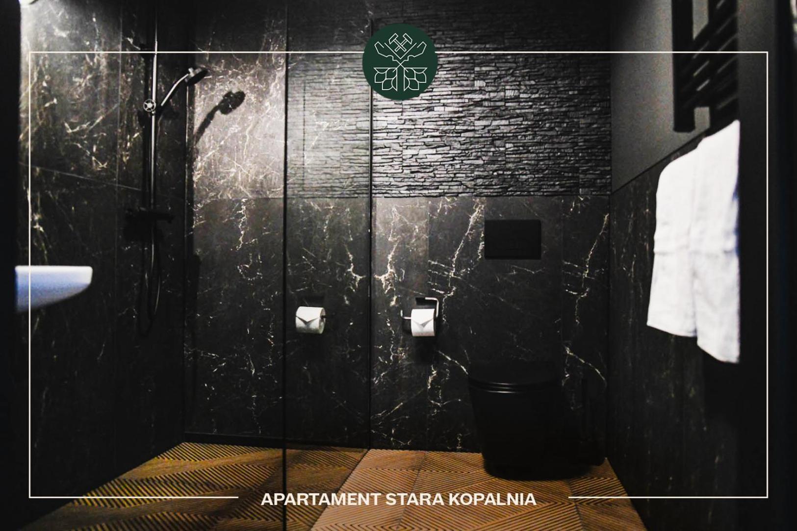 Apartamenty Przy Zamkowej W Walbrzychu Dış mekan fotoğraf