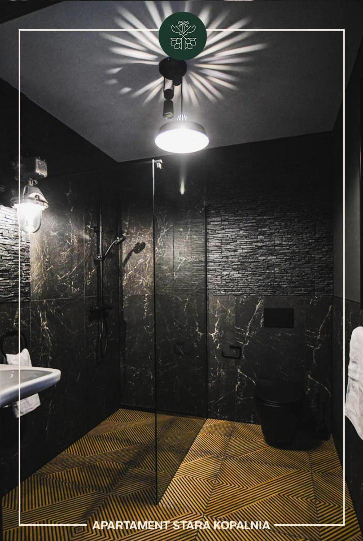 Apartamenty Przy Zamkowej W Walbrzychu Dış mekan fotoğraf